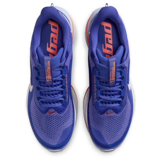 Nike Pegasus Premium